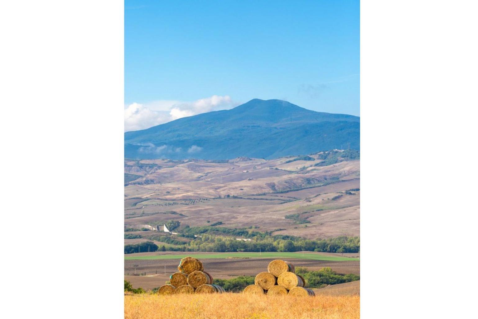 Villa Podere Belvedere Сієна Екстер'єр фото